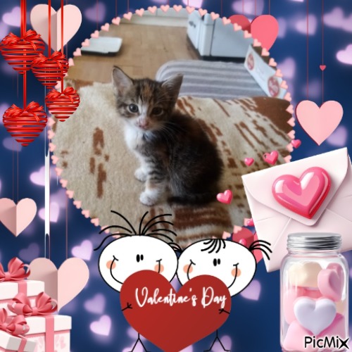 Princess Masha of the zoza1958 family