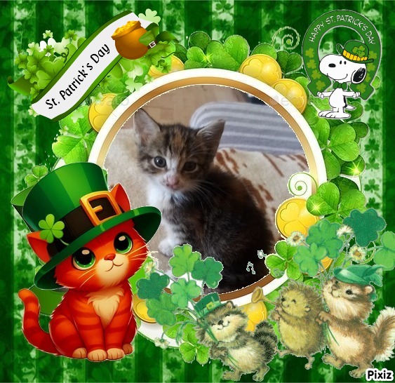 Princess Masha of the zoza1958 family