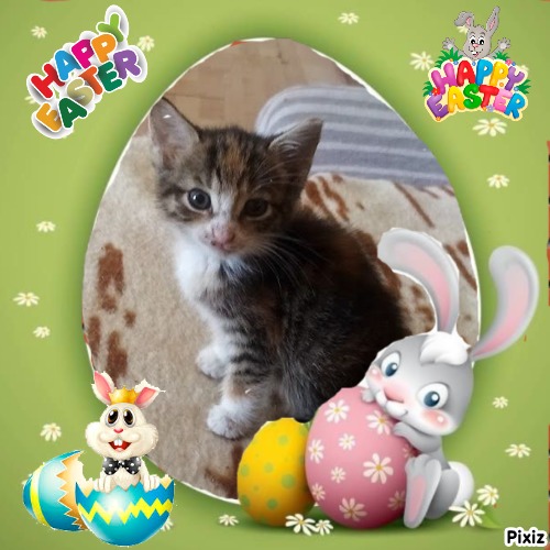 Princess Masha of the zoza1958 family