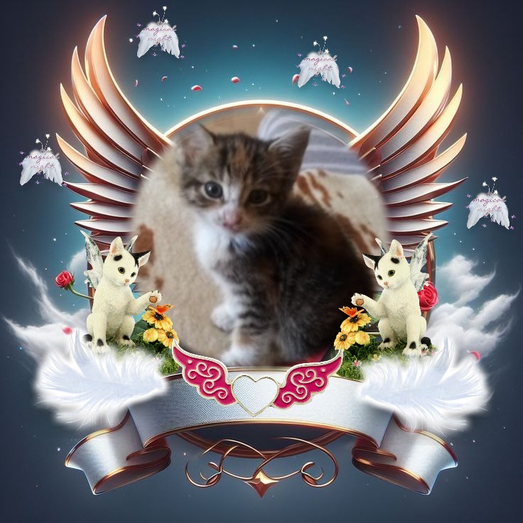 Princess Masha of the zoza1958 family