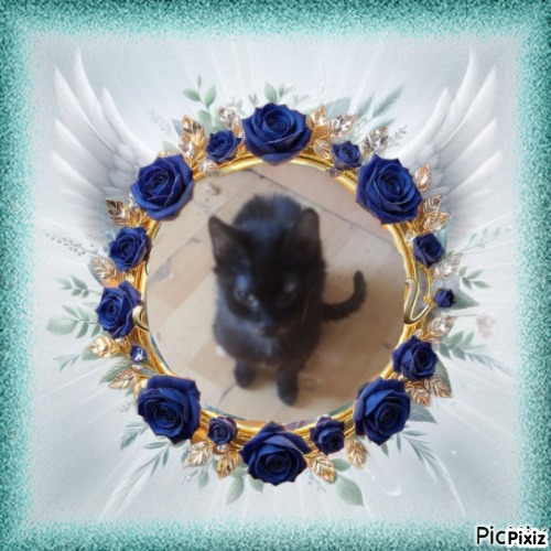 zoza1958 uploaded   15  day/s  ago