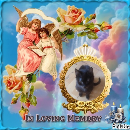 zoza1958 uploaded   15  day/s  ago