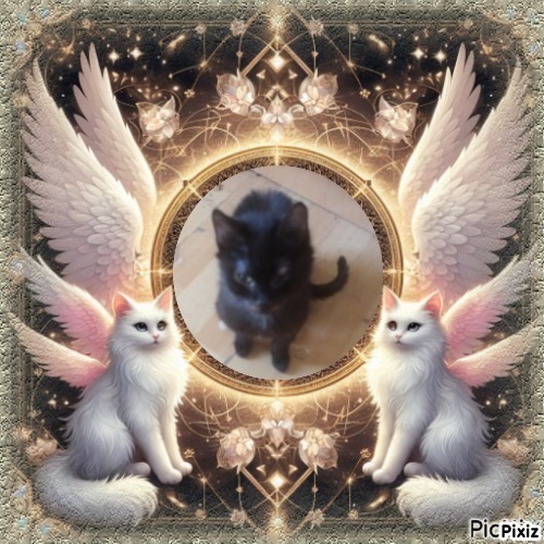 zoza1958 uploaded   15  day/s  ago