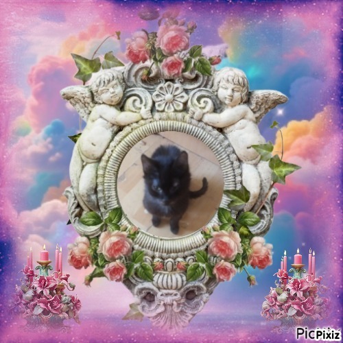 zoza1958 uploaded   15  day/s  ago