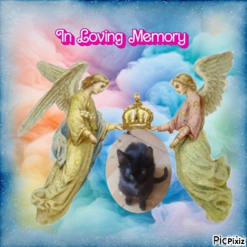 zoza1958 uploaded   15  day/s  ago