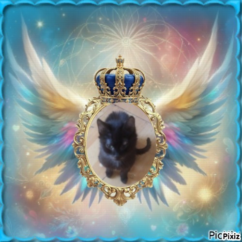 zoza1958 uploaded   15  day/s  ago