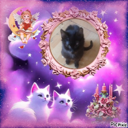 zoza1958 uploaded   15  day/s  ago