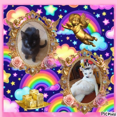 zoza1958 uploaded   15  day/s  ago