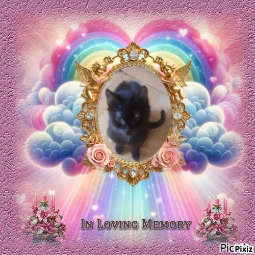 zoza1958 uploaded   15  day/s  ago