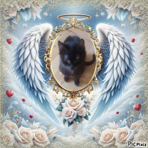 zoza1958 uploaded   15  day/s  ago