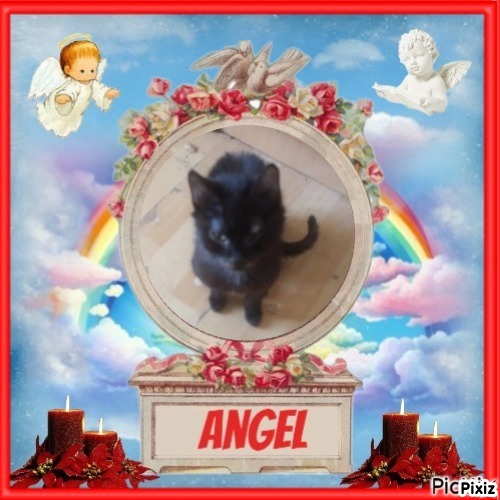 zoza1958 uploaded   15  day/s  ago