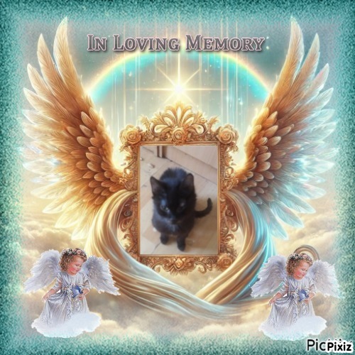 zoza1958 uploaded   15  day/s  ago