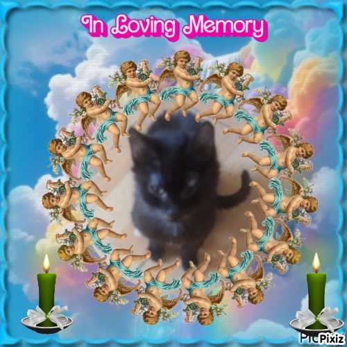 zoza1958 uploaded   15  day/s  ago