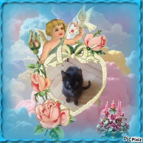 zoza1958 uploaded   15  day/s  ago