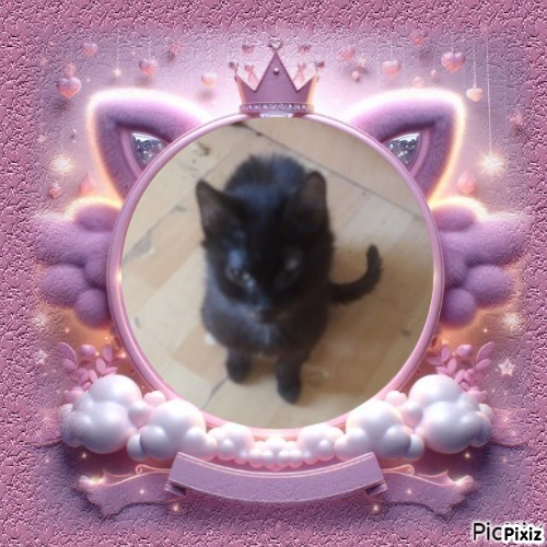 zoza1958 uploaded   15  day/s  ago