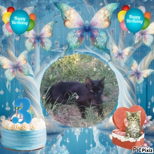 zoza1958 uploaded   1 year/s ago