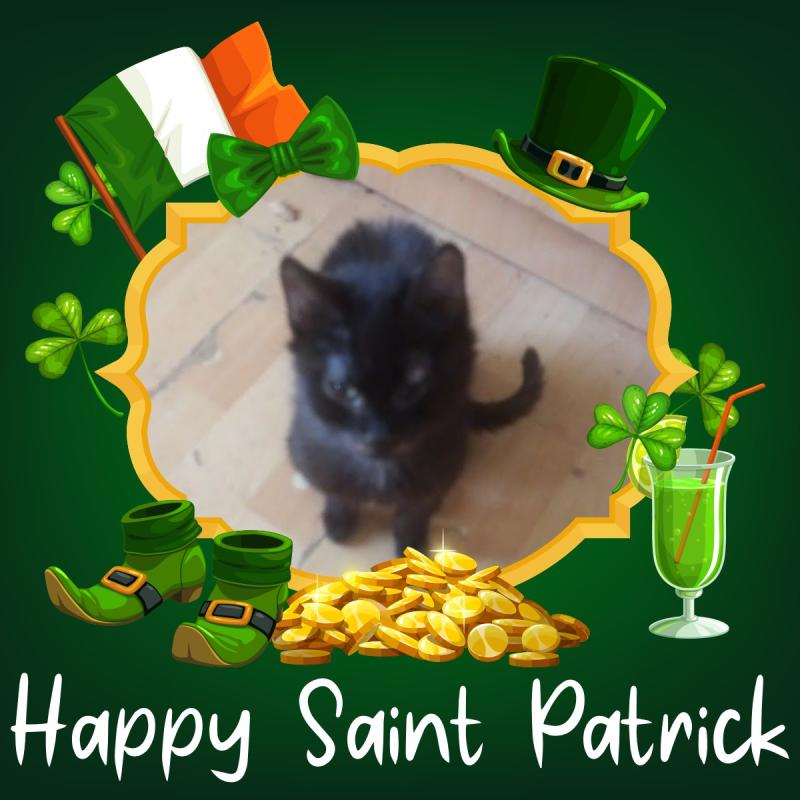 zoza1958 uploaded   31  day/s  ago