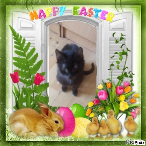 zoza1958 uploaded   6  day/s  ago