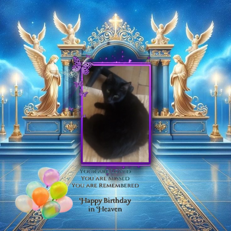 Prince Toby of the zoza1958 family