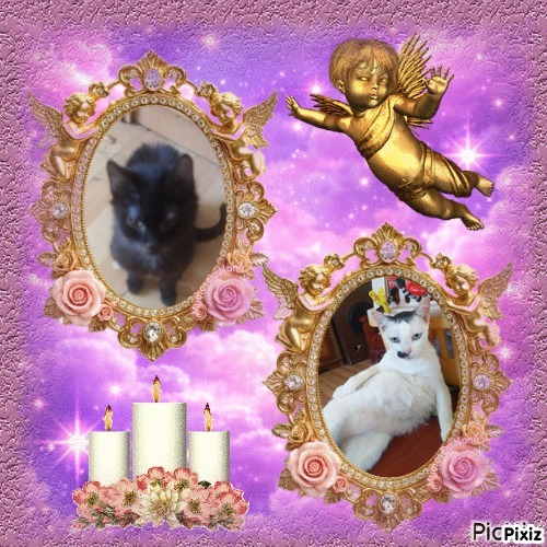 zoza1958 uploaded   15  day/s  ago