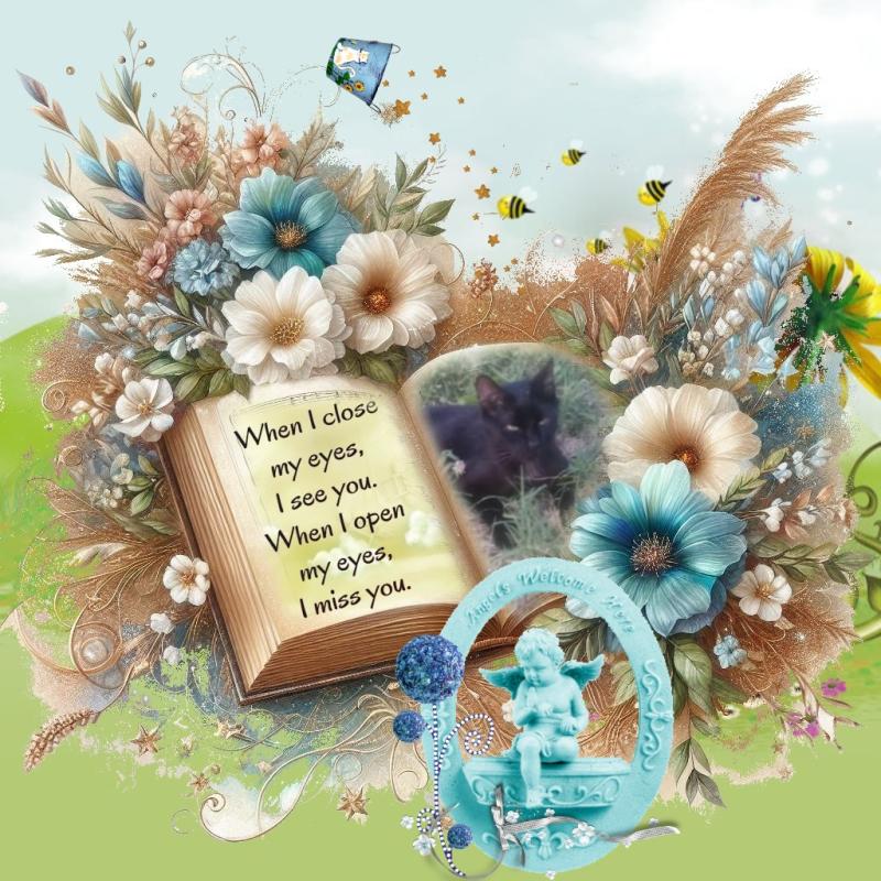 zoza1958 uploaded   15  day/s  ago