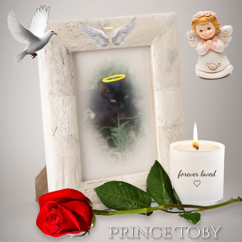 zoza1958 uploaded   15  day/s  ago