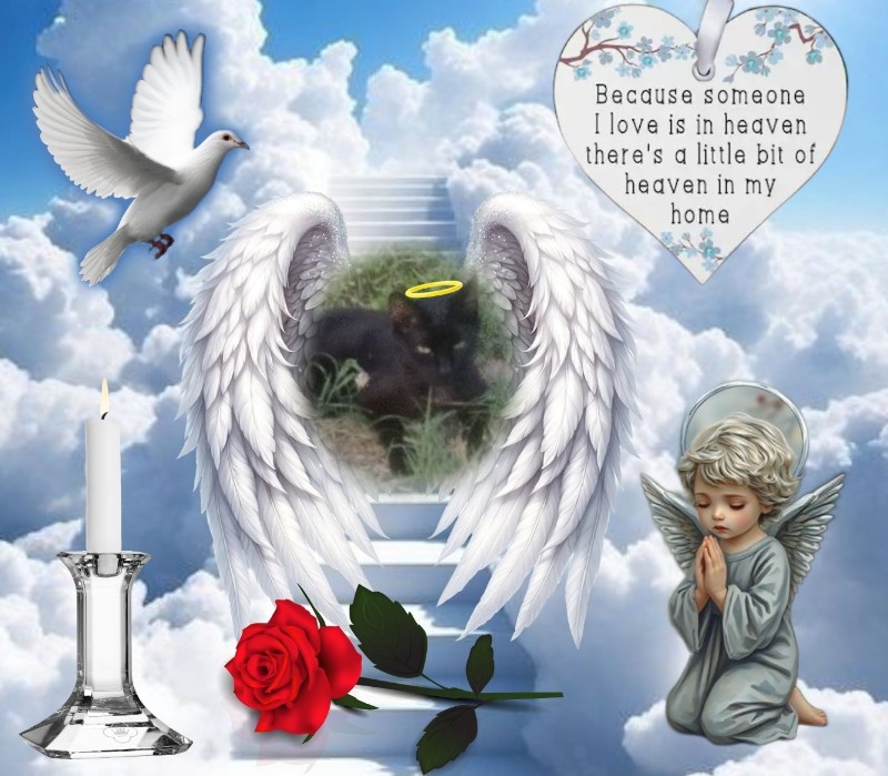 zoza1958 uploaded   15  day/s  ago