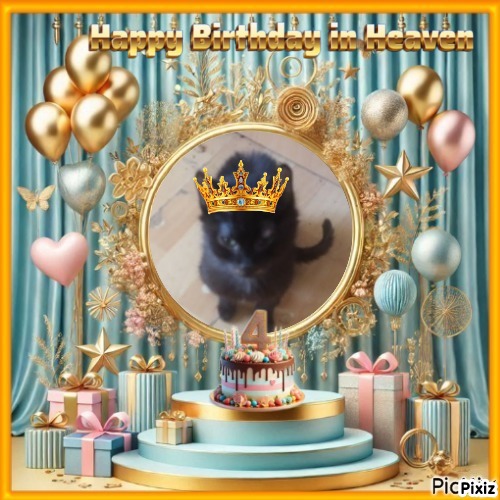 Prince Toby of the zoza1958 family