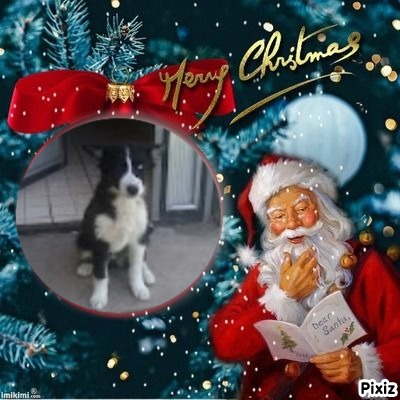 Princess Iga of the zoza1958 family