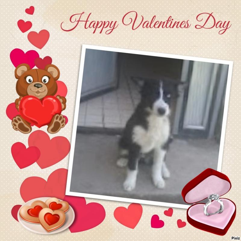 Princess Iga of the zoza1958 family