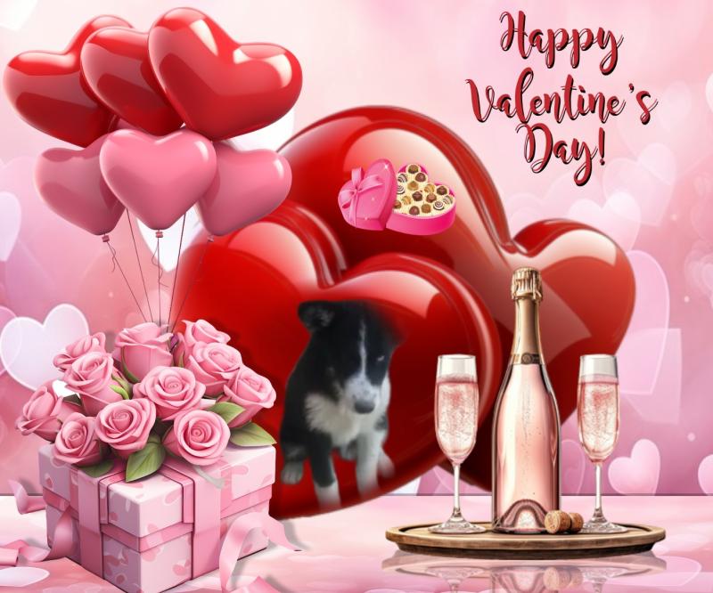 Princess Iga of the zoza1958 family