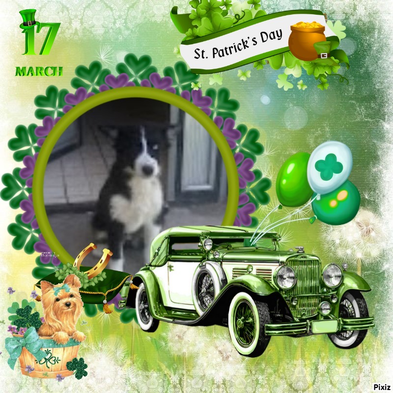 Princess Iga of the zoza1958 family