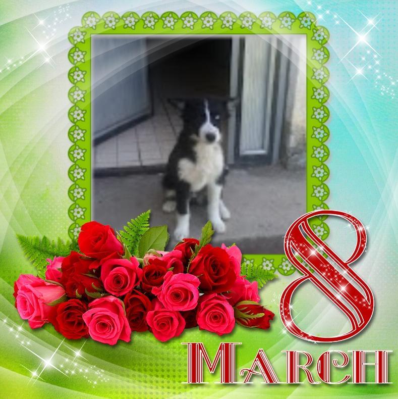 Princess Iga of the zoza1958 family