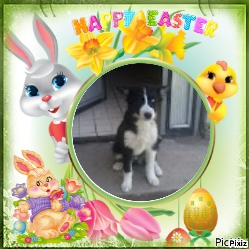 Princess Iga of the zoza1958 family