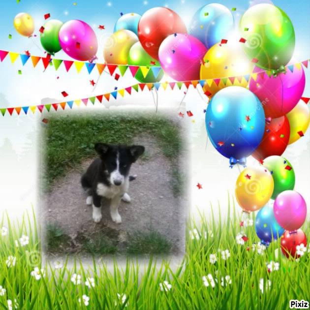 Princess Iga of the zoza1958 family