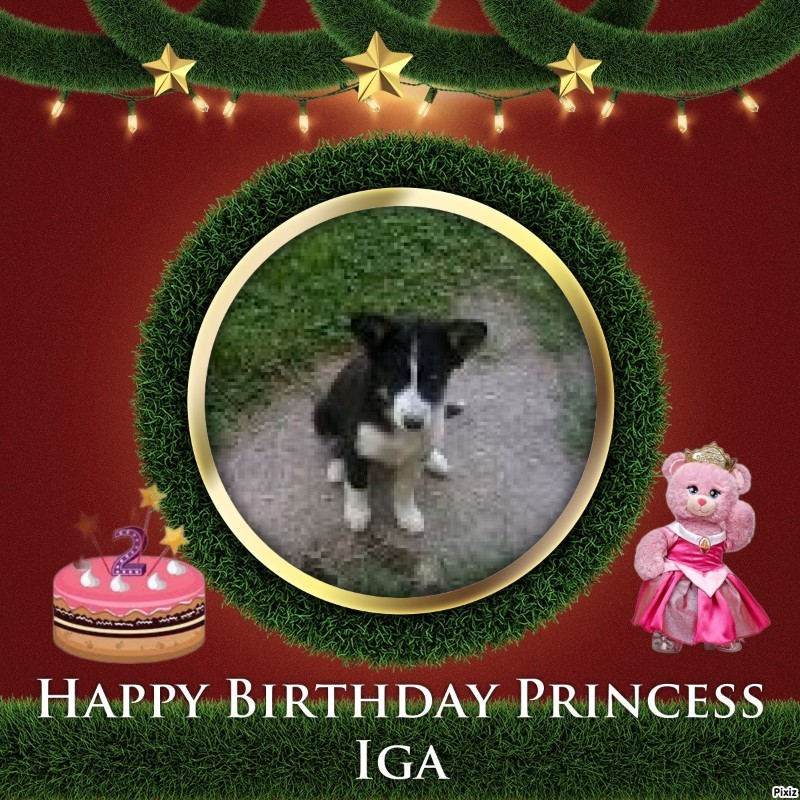 Princess Iga of the zoza1958 family
