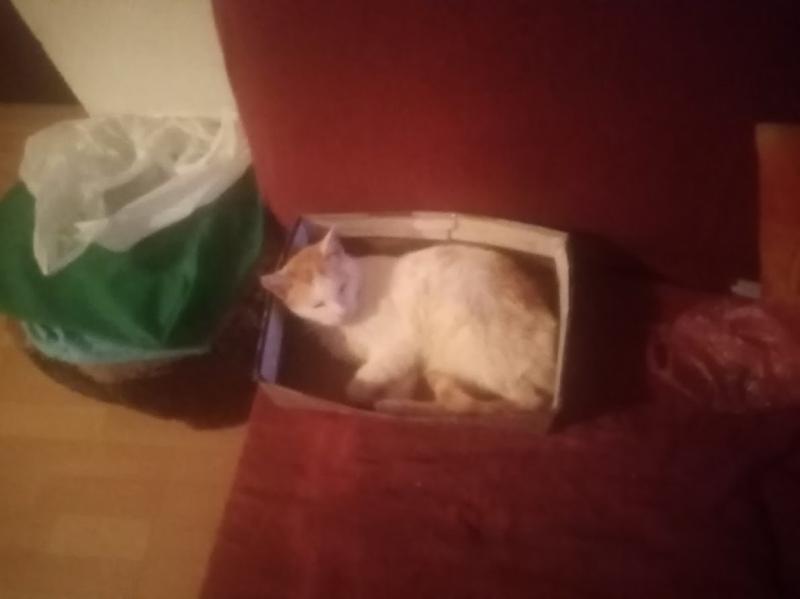 zoza1958 uploaded   1 year/s ago