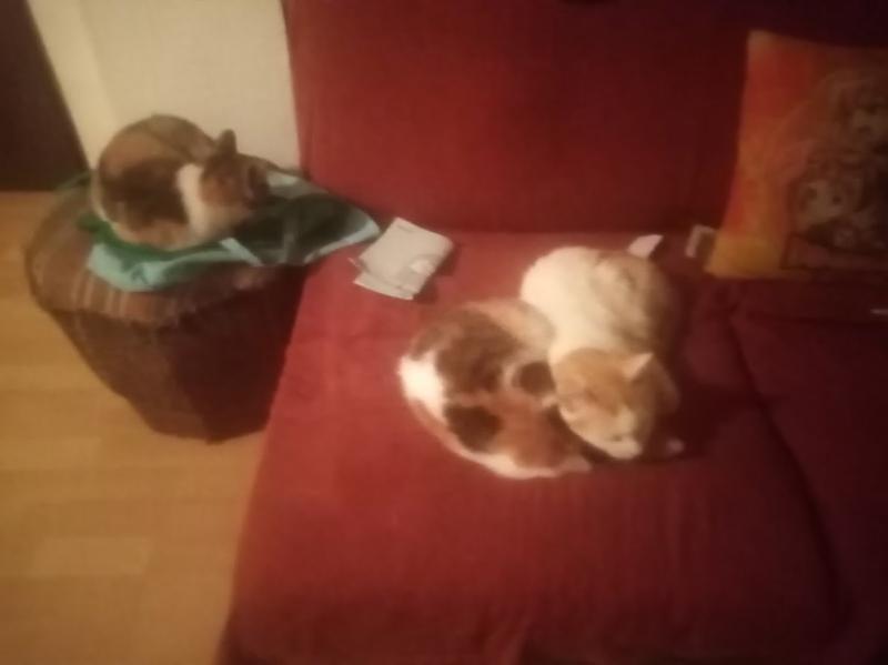 zoza1958 uploaded   1 year/s ago