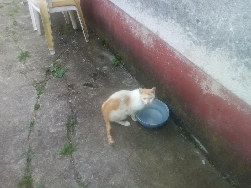 zoza1958 uploaded   330  day/s  ago