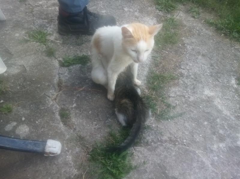 zoza1958 uploaded   265  day/s  ago