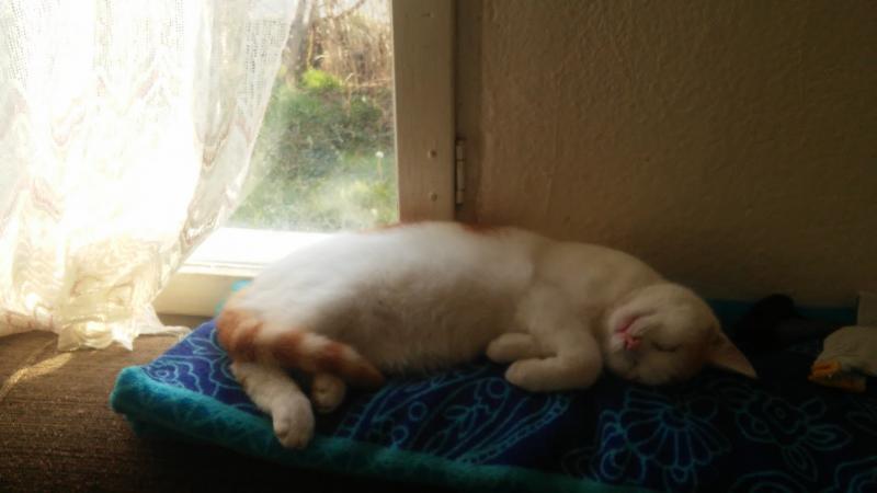 zoza1958 uploaded   2 year/s ago