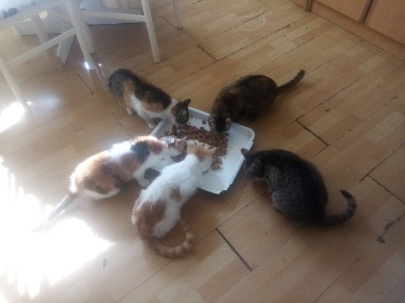 zoza1958 uploaded   1 year/s ago