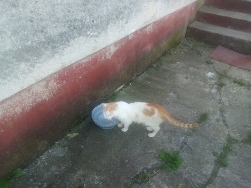 zoza1958 uploaded   358  day/s  ago