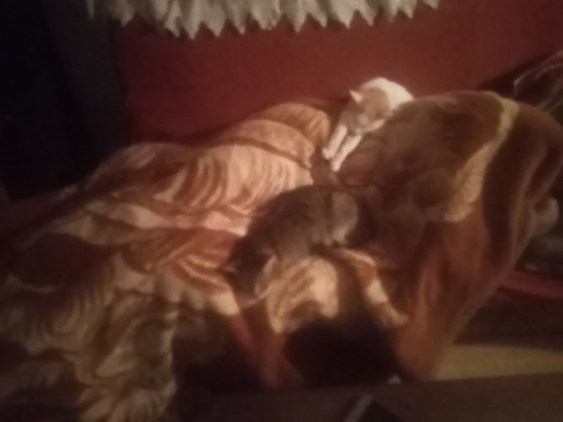 zoza1958 uploaded   1 year/s ago