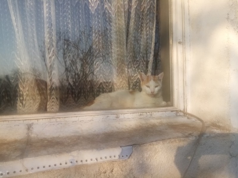 zoza1958 uploaded   1 year/s ago