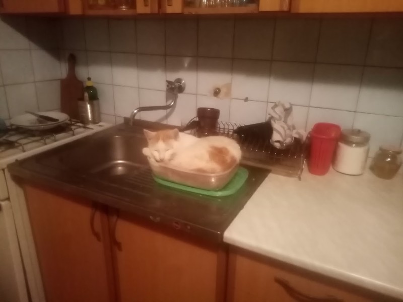 zoza1958 uploaded   1 year/s ago