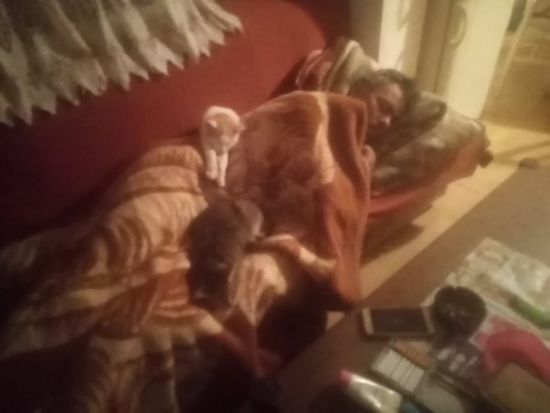 zoza1958 uploaded   1 year/s ago