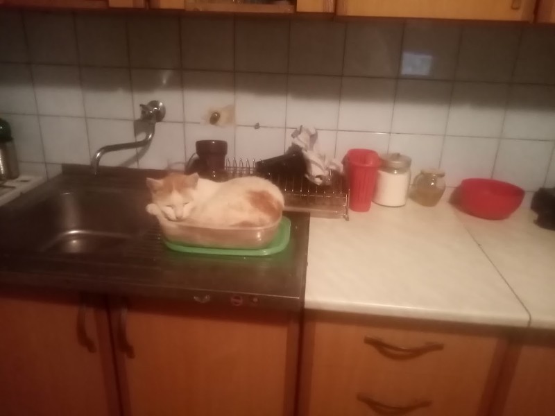 zoza1958 uploaded   1 year/s ago