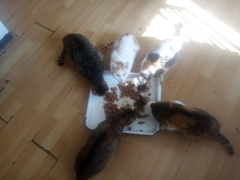 zoza1958 uploaded   1 year/s ago