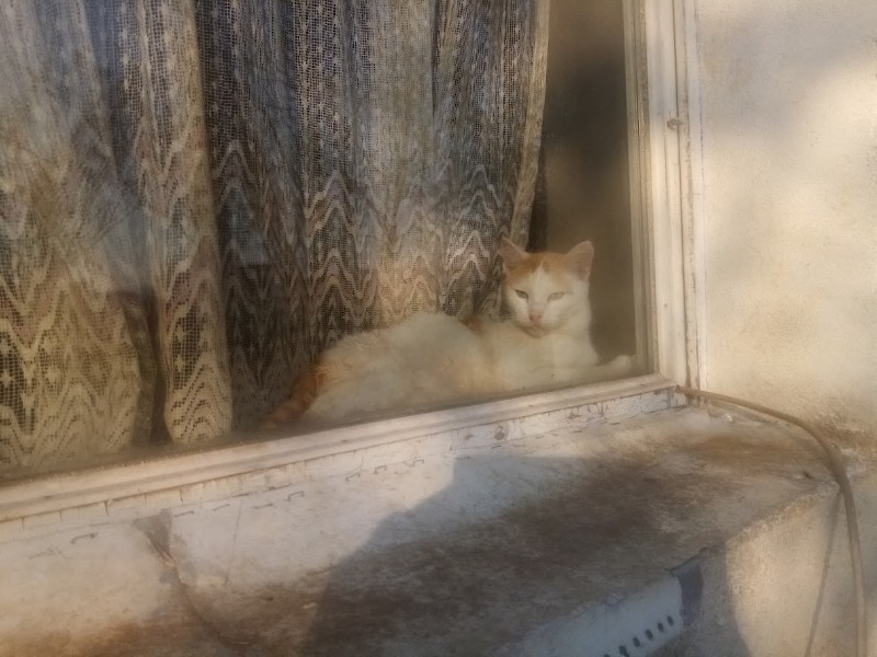 zoza1958 uploaded   1 year/s ago